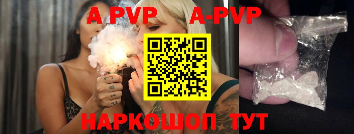 APVP СК Кузнецк