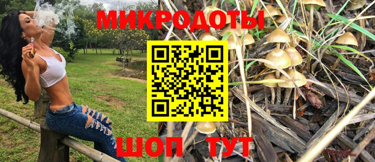 Псилоцибиновые грибы Magic Shrooms  Галлюциногенные грибы Psilocybe  Вход с VPN  где найти наркотики  Кузнецк 