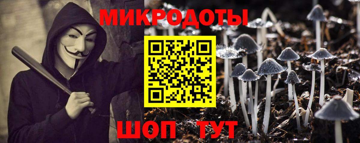 Псилоцибиновые грибы прущие грибы Кузнецк
